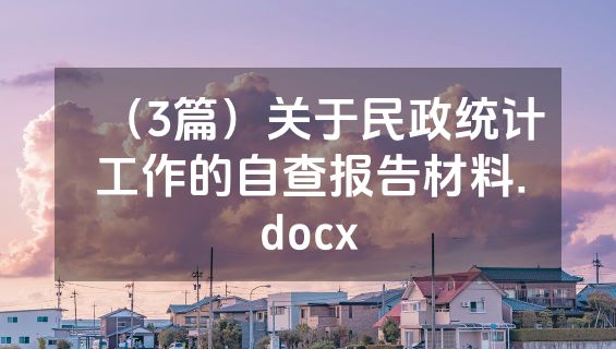 （3篇）关于民政统计工作的自查报告材料.docx