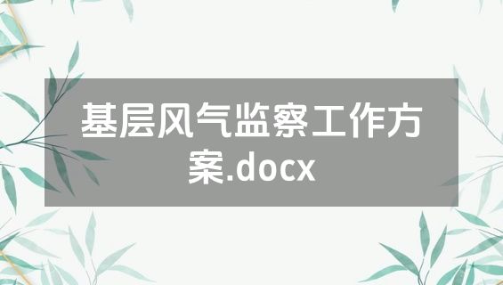 基层风气监察工作方案.docx