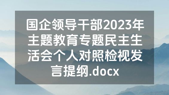 国企领导干部2023年主题教育专题民主生活会个人对照检视发言提纲.docx