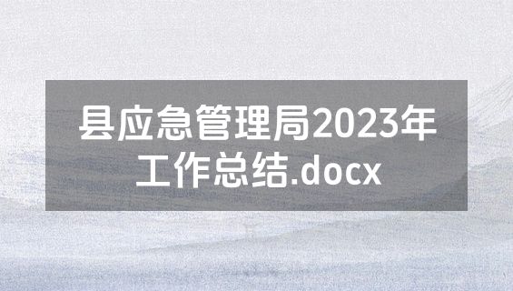 县应急管理局2023年工作总结.docx