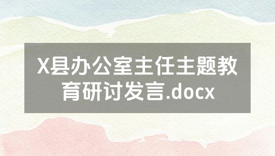 X县办公室主任主题教育研讨发言.docx