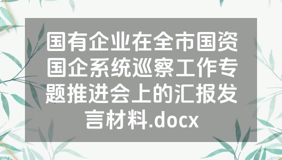 国有企业在全市国资国企系统巡察工作专题推进会上的汇报发言材料.docx