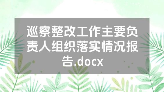 巡察整改工作主要负责人组织落实情况报告.docx