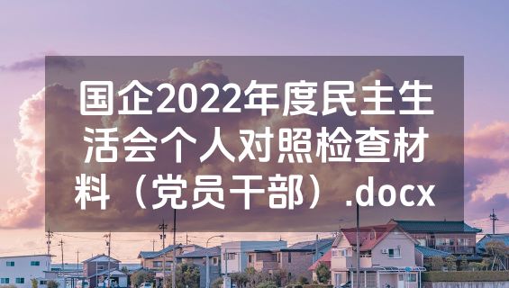 国企2022年度民主生活会个人对照检查材料（党员干部）.docx