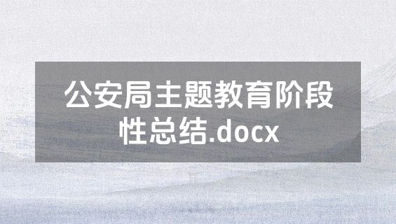 公安局主题教育阶段性总结.docx