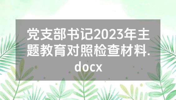 党支部书记2023年主题教育对照检查材料.docx