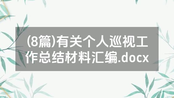(8篇)有关个人巡视工作总结材料汇编.docx