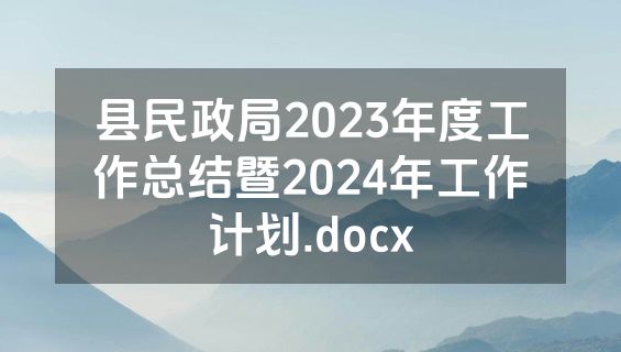 县民政局2023年度工作总结暨2024年工作计划.docx