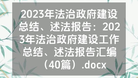2023年法治政府建设总结、述法报告：2023年法治政府建设工作总结、述法报告汇编（40篇）.docx