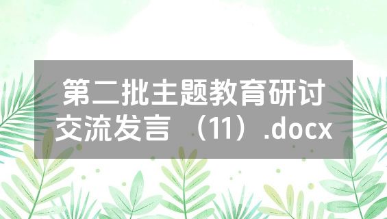 第二批主题教育研讨交流发言 （11）.docx