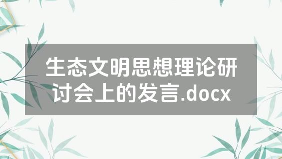生态文明思想理论研讨会上的发言.docx