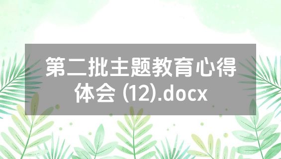 第二批主题教育心得体会 (12).docx