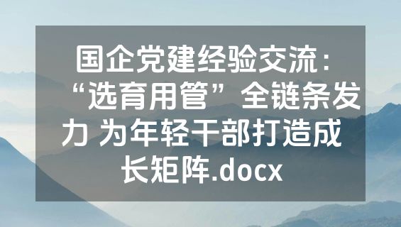 国企党建经验交流：“选育用管”全链条发力 为年轻干部打造成长矩阵.docx