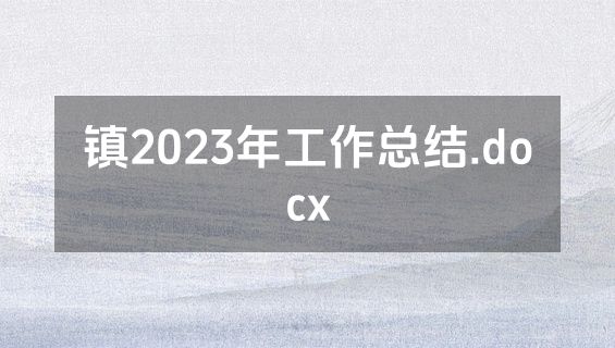 镇2023年工作总结.docx