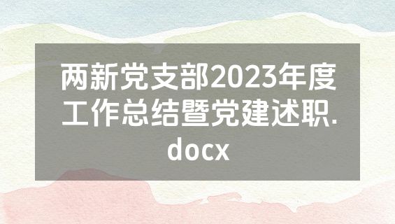 两新党支部2023年度工作总结暨党建述职.docx