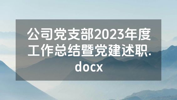 公司党支部2023年度工作总结暨党建述职.docx