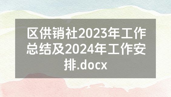 区供销社2023年工作总结及2024年工作安排.docx