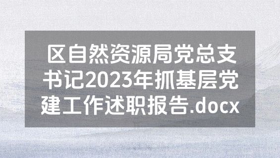区自然资源局党总支书记2023年抓基层党建工作述职报告.docx