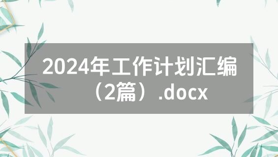 2024年工作计划汇编（2篇）.docx