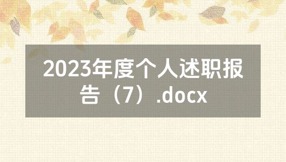 2023年度个人述职报告（7）.docx