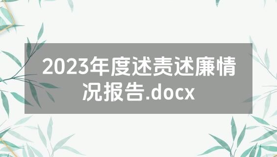 2023年度述责述廉情况报告.docx
