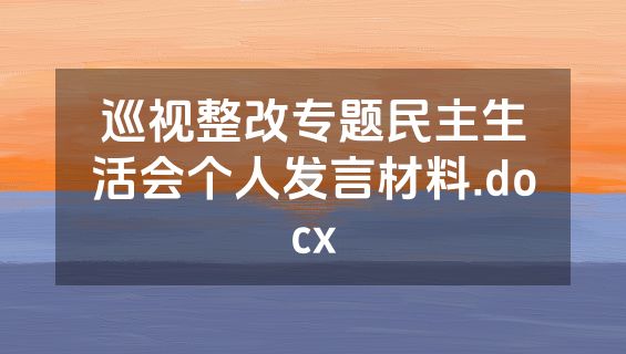 巡视整改专题民主生活会个人发言材料.docx