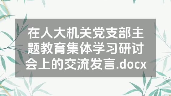 在人大机关党支部主题教育集体学习研讨会上的交流发言.docx