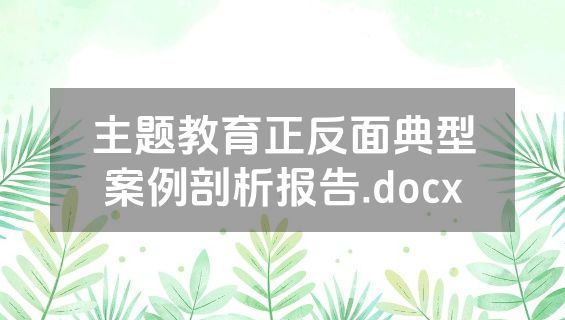 主题教育正反面典型案例剖析报告.docx