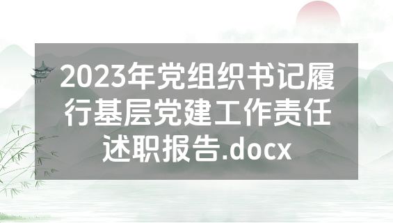2023年党组织书记履行基层党建工作责任述职报告.docx
