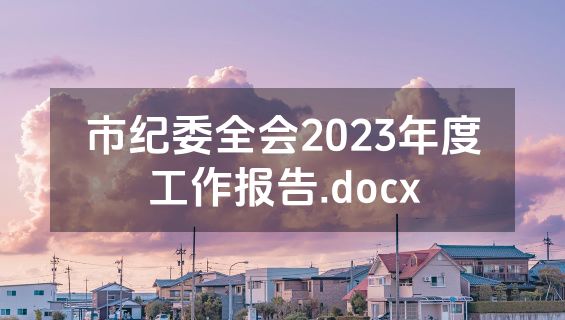 市纪委全会2023年度工作报告.docx