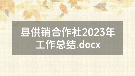 县供销合作社2023年工作总结.docx