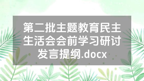 第二批主题教育民主生活会会前学习研讨发言提纲.docx