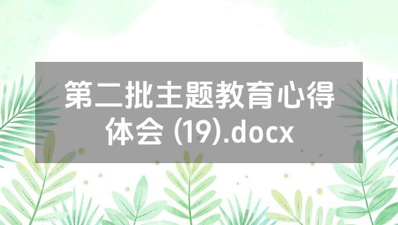 第二批主题教育心得体会 (19).docx