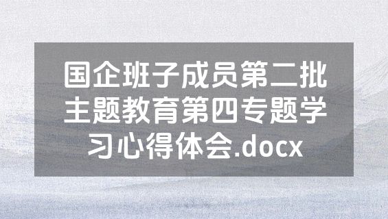 国企班子成员第二批主题教育第四专题学习心得体会.docx