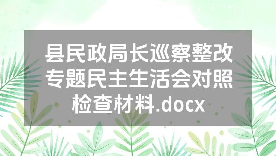 县民政局长巡察整改专题民主生活会对照检查材料.docx