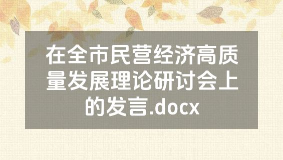在全市民营经济高质量发展理论研讨会上的发言.docx
