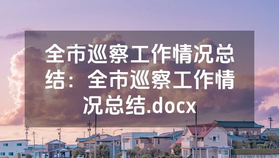 全市巡察工作情况总结：全市巡察工作情况总结.docx