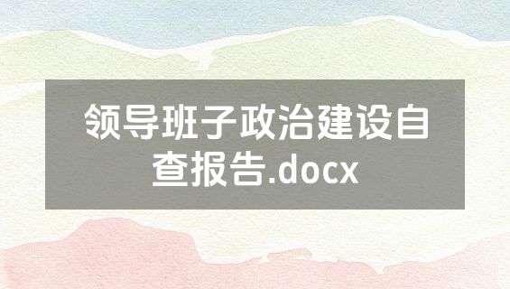 领导班子政治建设自查报告.docx