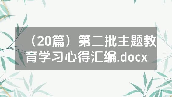 （20篇）第二批主题教育学习心得汇编.docx