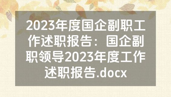 2023年度国企副职工作述职报告：国企副职领导2023年度工作述职报告.docx