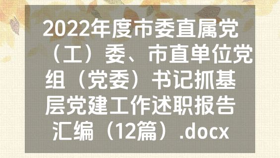 2022年度市委直属党（工）委、市直单位党组（党委）书记抓基层党建工作述职报告汇编（12篇）.docx