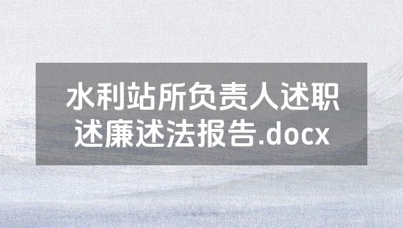 水利站所负责人述职述廉述法报告.docx