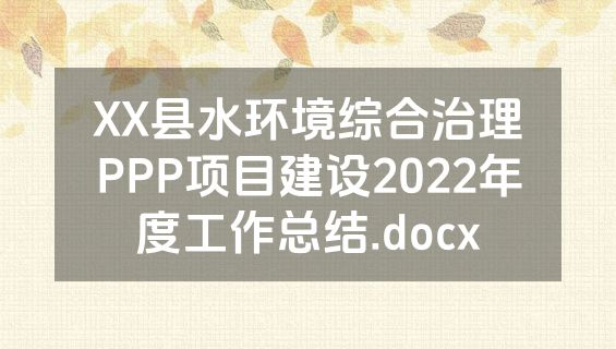 XX县水环境综合治理PPP项目建设2022年度工作总结.docx