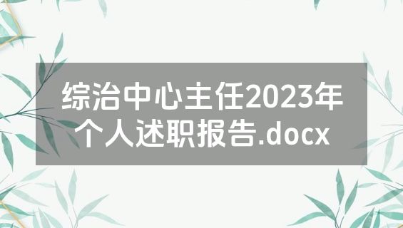 综治中心主任2023年个人述职报告.docx