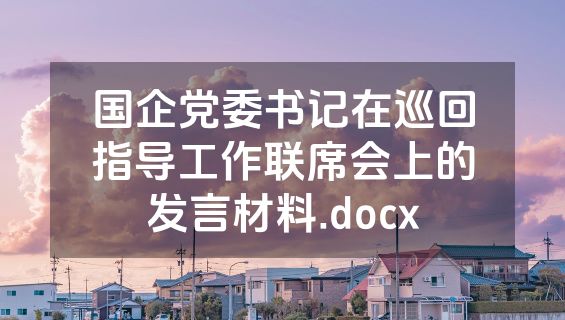 国企党委书记在巡回指导工作联席会上的发言材料.docx