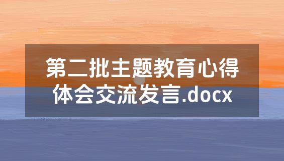 第二批主题教育心得体会交流发言.docx