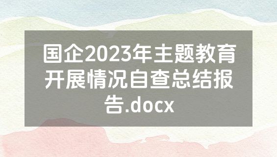 国企2023年主题教育开展情况自查总结报告.docx