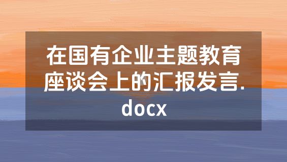在国有企业主题教育座谈会上的汇报发言.docx