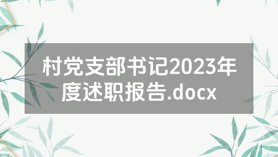 村党支部书记2023年度述职报告.docx