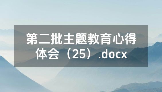 第二批主题教育心得体会（25）.docx